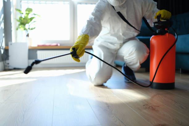Reliable Sewage Cleanup contractor in Springdale, NJ by Trauma Clean Pros
